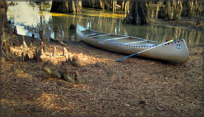 Caddo Lake canoe cruise